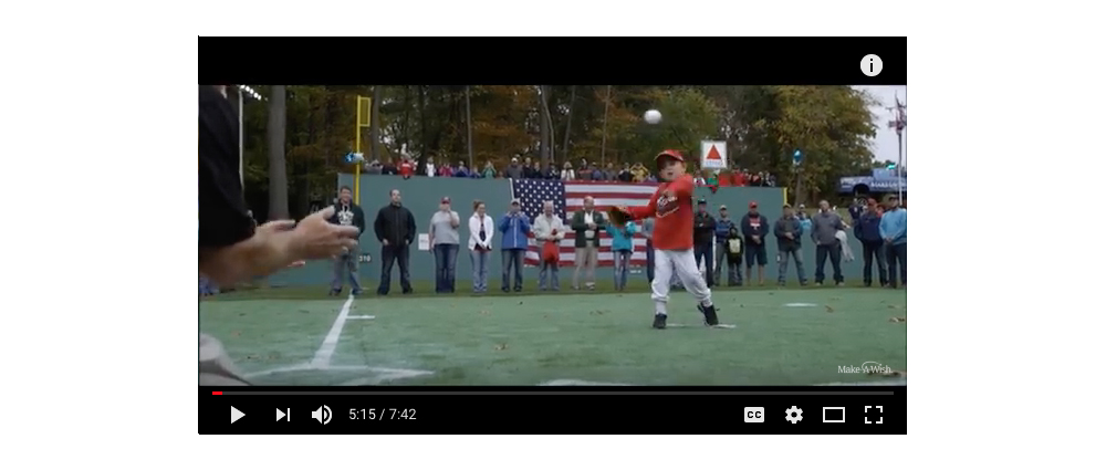WATCH THE VIDEO